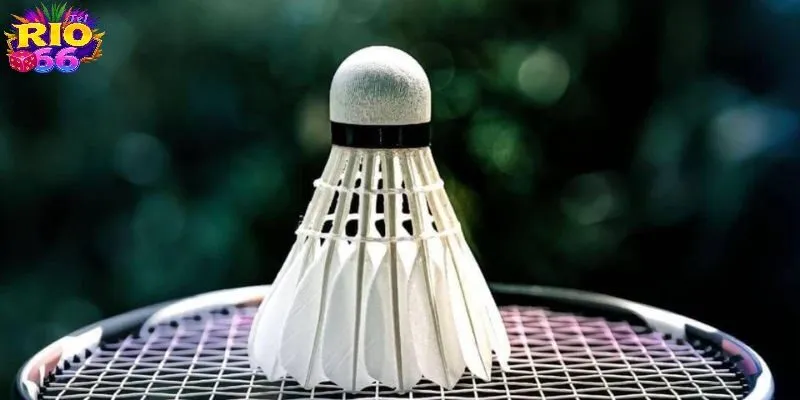 Có đa dạng các loại cược cầu lông cho người chơi lựa chọn theo sở thích