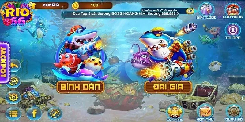 4 bước đơn giản để bạn bắt đầu hành trình chinh phục đại dương