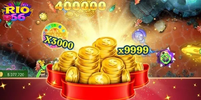 Bí kíp giúp bạn săn cá hiệu quả hơn và thu về lợi nhuận khủng