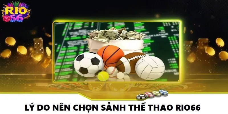 Ưu điểm vượt trội của sảnh thể thao Rio66